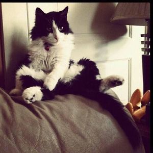 Meet your Posher, Brandon